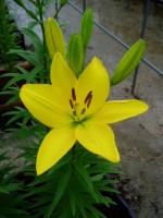 [1601 Mona No40 No01.JPG]